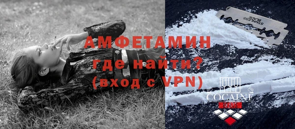 ALPHA PVP Няндома