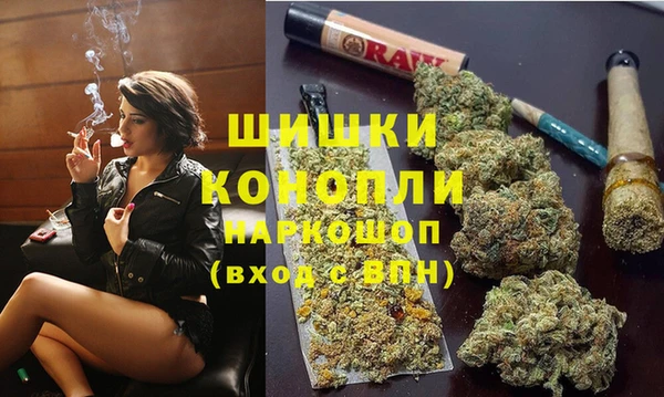ALPHA PVP Няндома
